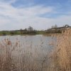 04 unterwegs im zbinger forst 6
